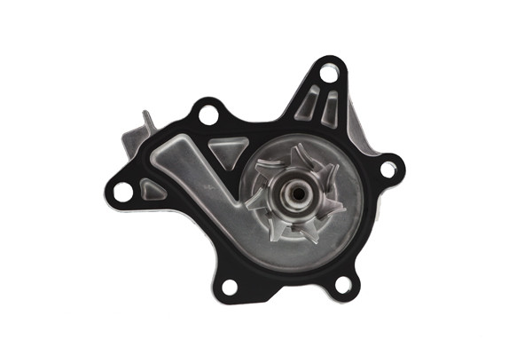 AISIN Wasserpumpe, Motorkühlung